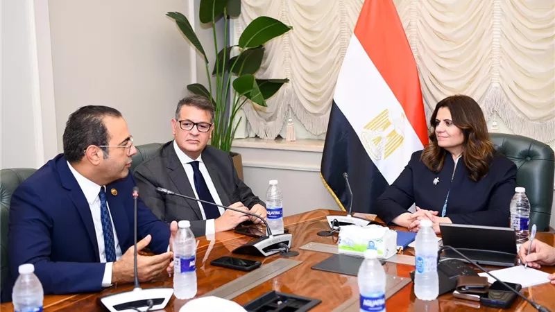 الهجرة :تفعيل غرفة عمليات الوزارة قبل بدء الانتخابات الرئاسية بالخارج بأسبوع
