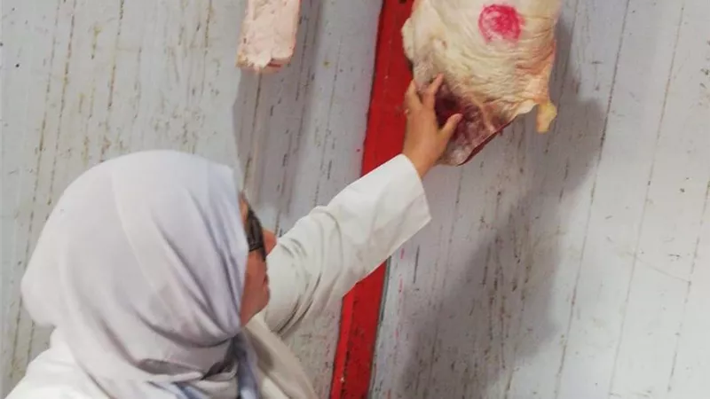 بيطري الشرقيةيضبط2طن لحوم ودواجن ويحرر4محاضرمخالفة
