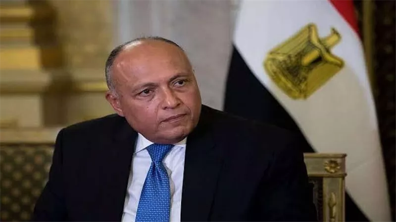 شكري يناقش الوضع في غزة مع مستشارة الأمن القومي للرئيس الكيني