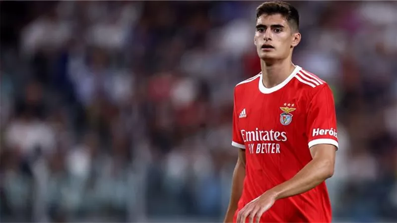 ريال مدريد يقترب من ضم مدافع بنفيكا