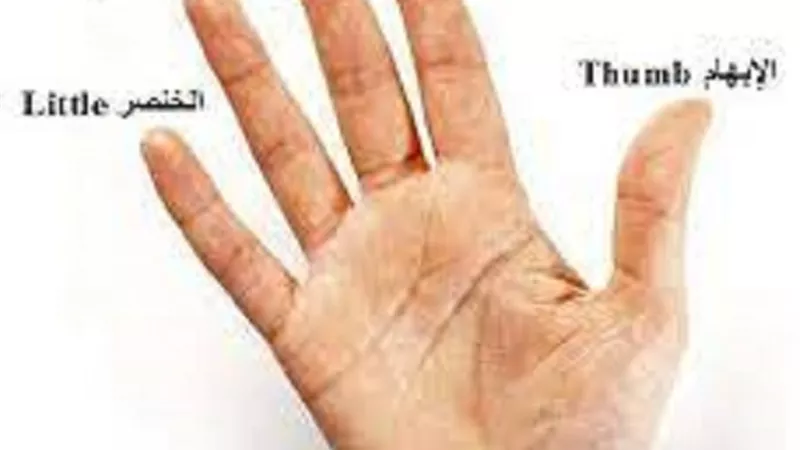 العلماء يُفندون حكم لبس الخاتم فى اصبع الشاهد للرجال