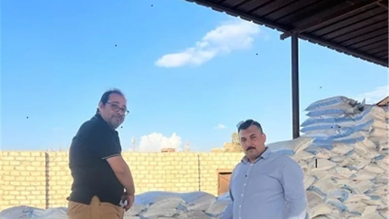 صحة القليوبية تضبط ٣٠ طن ملح متحجر و١٠٠٠ كيس منتهي الصلاحية بالخانكة