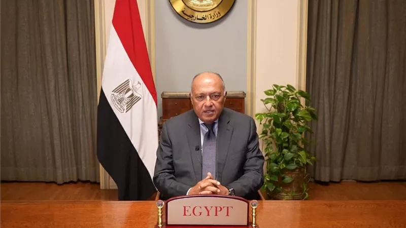 شكري: القصف الاسرائيلي لغزة يعكس تحيز وعجز النظام الدولي