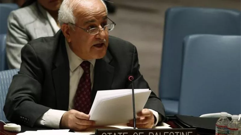 رياض منصور: مصر تقف بجانب القضية الفلسطينية وقفة عز وكرامة