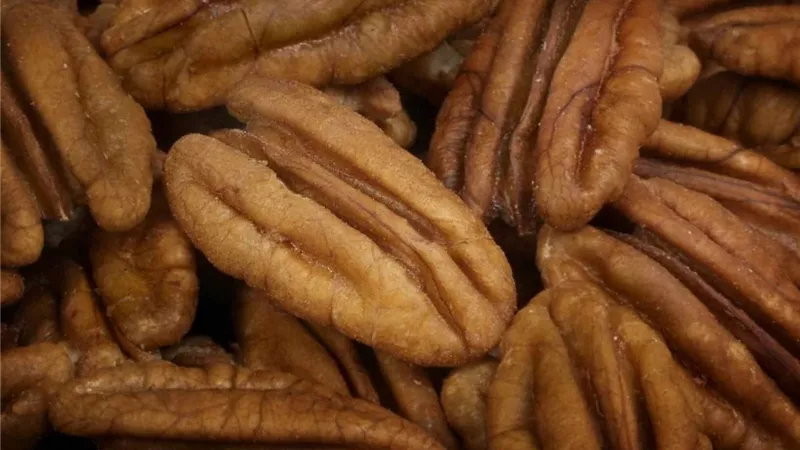 9 فوائد للجوز البرازيلى..تعرف عليها