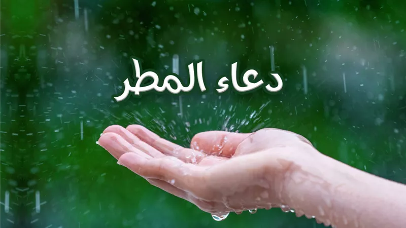 اللهم صيباً نافعاً..من دعاء النبيّ عند نزول المطر