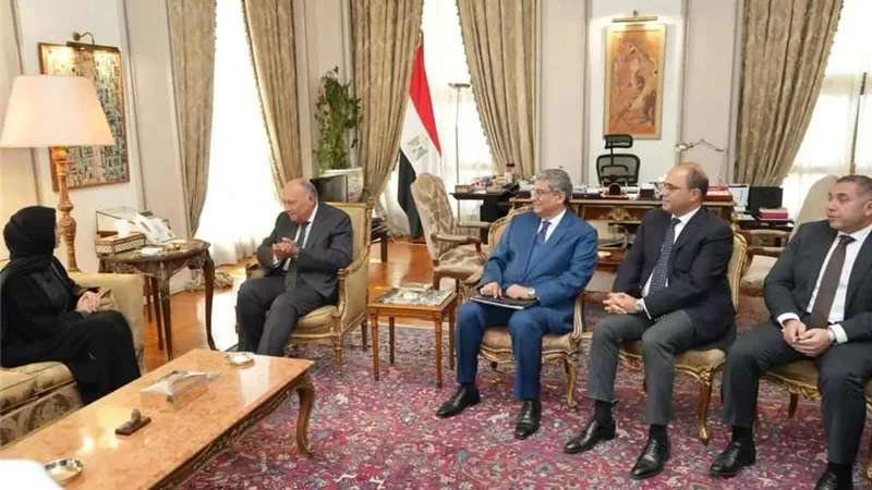 سامح شكري يلتقي وزيرة التعاون الدولي بقطر