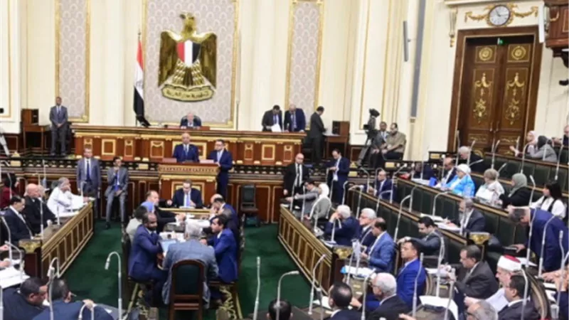 نائبةغادة على: قانون التصالح الجديد جاء بإرادة سياسية قوية
