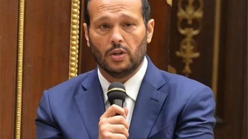 محمد حلاوة: السيسى نجح فى تغيير الموقف الأوربى والدولى لصالح القضية الفلسطينية