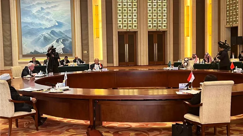 وزير الخارجية : مصر تبذل كل جهد لإدخال المساعدات إلى قطاع غزة عبر معبر رفح