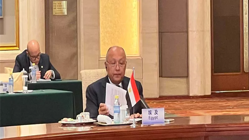 شكري : اسرائيل تستخدم سياسة ممنهجة لتعطيل دخول المساعدات ودفع الفلسطينيين لمغادرة القطاع