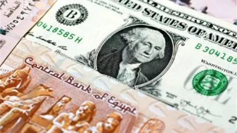 استقرار أسعار صرف الدولار مقابل الجنيه المصري