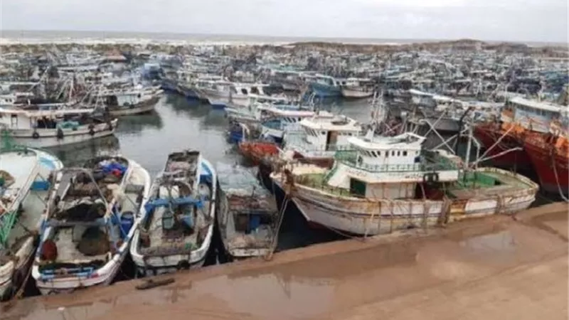لليوم الثاني.. وقف حركة الصيد بميناء البرلس في كفر الشيخ