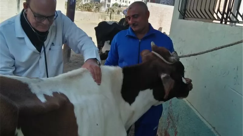 جامعة الزقازيق توجه قافلة بيطرية لكفر العلماء بفاقوس