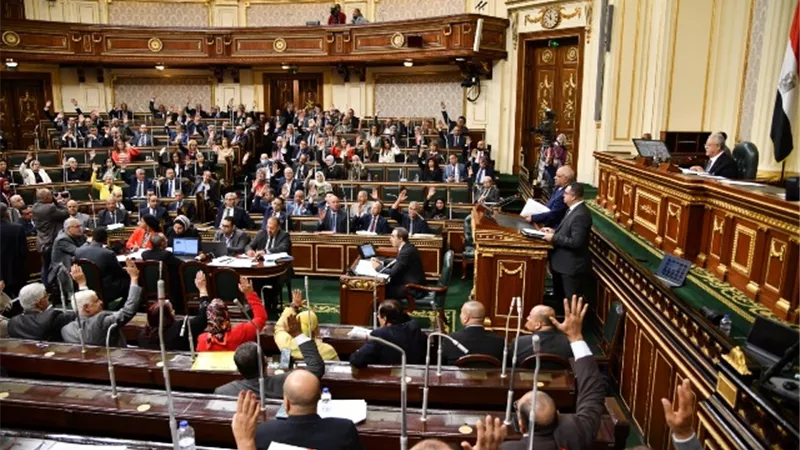 مجلس النواب يوافق نهائيا على تعديل قانون الطفل