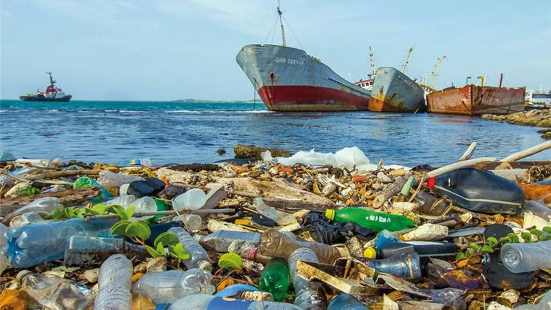 برنامج حماية البيئة:14 مليون طن نفايات تلقى فى المحيطات سنويا