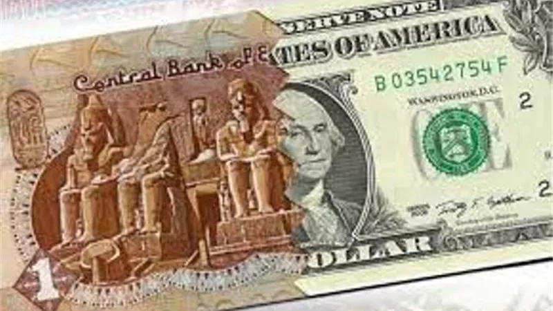 استقرار أسعار صرف الدولار مقابل الجنيه المصري