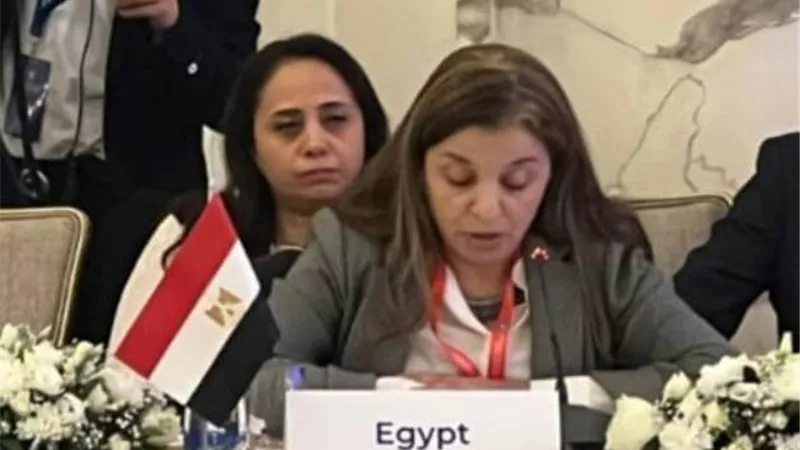 مصر تشارك في مؤتمر حركة عدم الانحياز حول 
