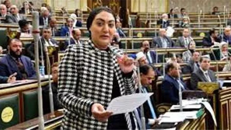 ردا على الوزيرة الاسرائيلية .. عضو خارجية النواب : تهجير الفلسطينين مرفوض جملة وتفصيلا