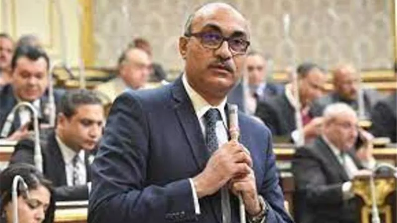 رئيس برلمانية المصرى الديمقراطى : التهجير القسرى والتوطين الطوعى وجهان لعملة واحدة .. وكلاهما مرفوض