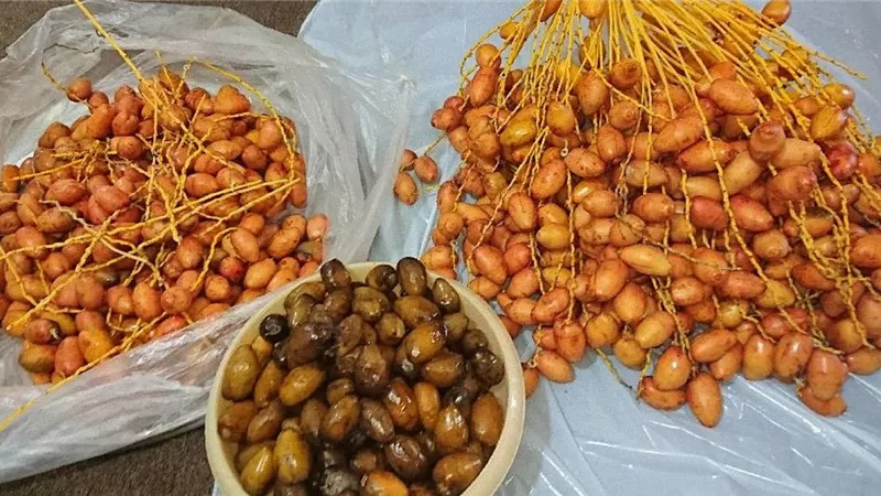3 اسباب للحد من تناول البلح ..لمرضى السكر