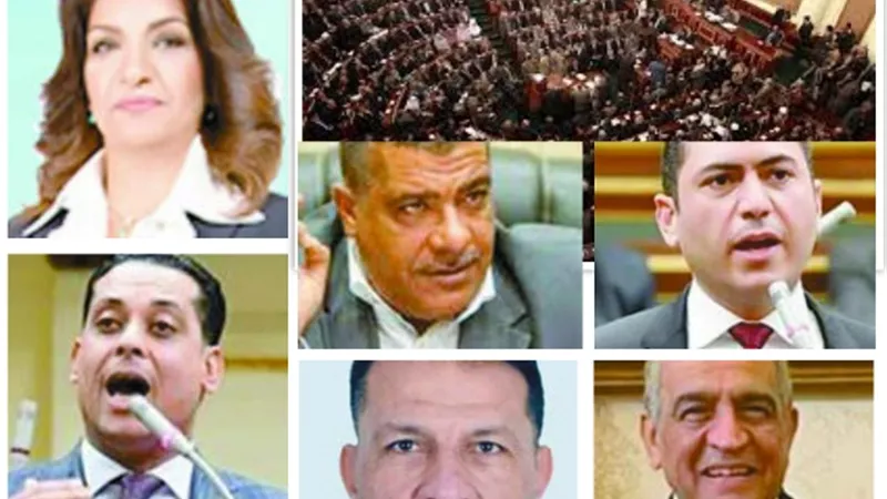 مشاكل الرقابة الصناعية.. أمام البرلمان