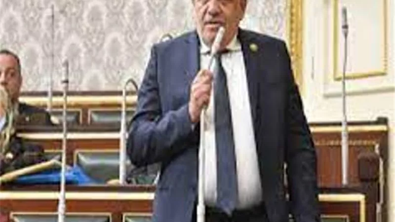 عضو تشريعية البرلمان : نجاح الوساطة يعزز دور مصر فى تبنيها للقضية الفلسطينية