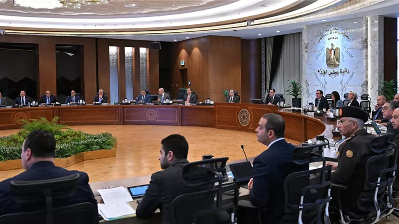 الوزراء:تصدير أول شحنة أمونيا تم إنتاجها من الهيدروجين المصنع