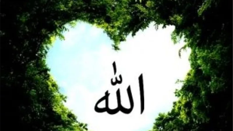4 امور قررتها النصوص الشرعية فى محبة الله عز وجل