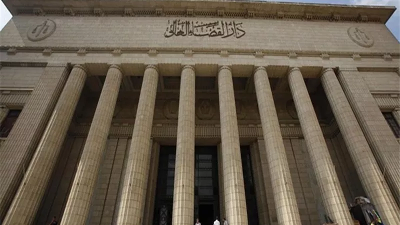 لا وجه لاقامة الدعوى ضد مركز الأرض لحقوق الانسان في التمويل الأجنبي