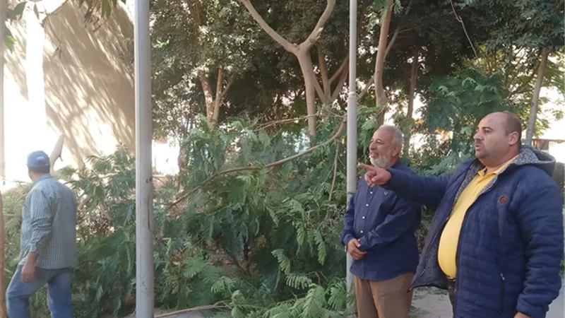رئيس جهاز مدينة بدر يكشف عن أحدث أعمال الزراعة فى المدينة.. صور
