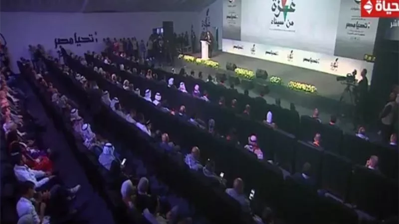 عضو تنسيقية الأحزاب: القضية الفلسطينية كانت ولا تزال جزءًا لا يتجزأ من وجدان الشعب المصري