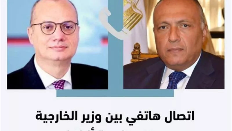 شكري يبحث هاتفياً مع وزير خارجية ألبانيا تطورات الأزمة في غزة