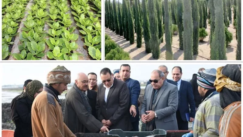أحدث مصانع سكر البنجر في الشرق الأوسط بالصالحية