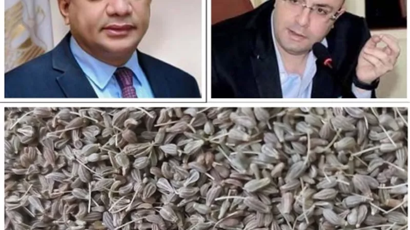 منطقة استثمارية للنباتات الطبية والعطرية بسمسطا