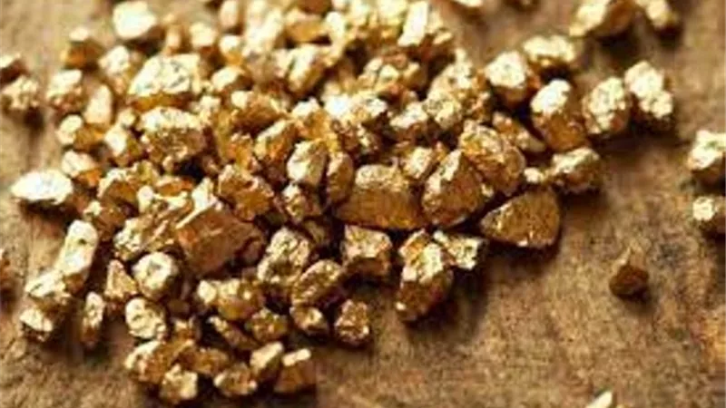 ضبط سارقين بحوزتهما كميات من الذهب أثناء التنقيب بأسوان