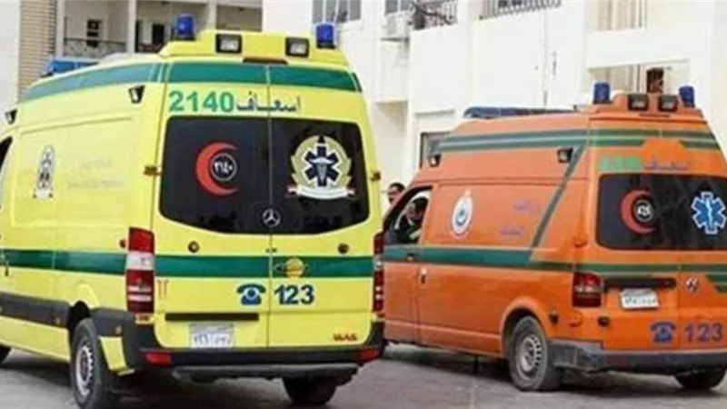 انتحار نقاش بالدقهلية بسبب ازمة نفسية