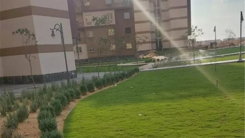 رئيس جهاز مدينة بدر يعلن أهم أعمال الزراعة والتجميل بالأحياء صور