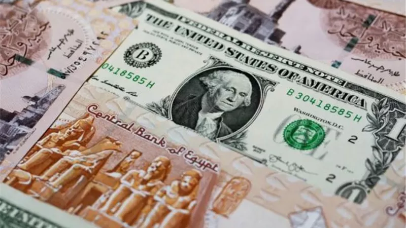 استقرار أسعار صرف الدولار مقابل الجنيه المصري