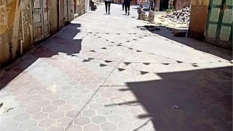 محافظ كفرالشيخ يتابع أعمال رصف شارع 