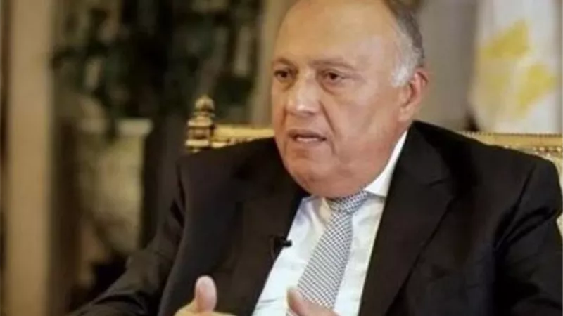 شكري: التهجير مرفوض دوليا..وإسرائيل تعوق دخول المساعدات لقطاع غزة