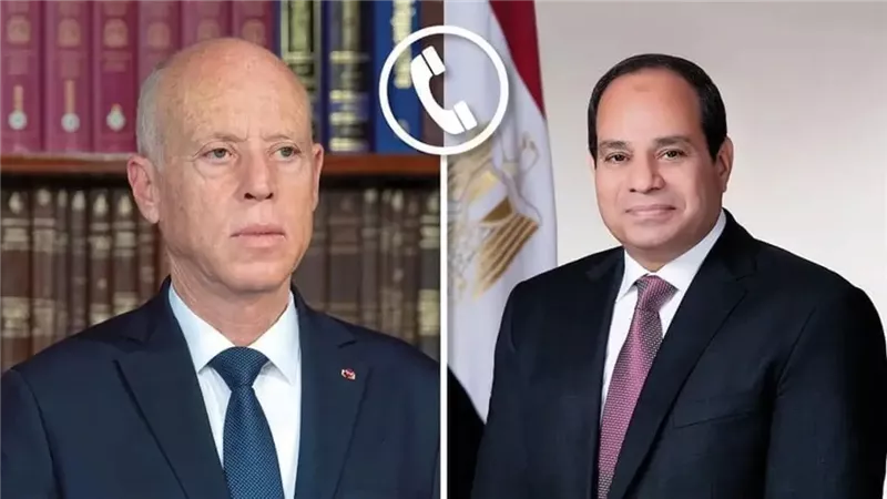 الرئيس السيسى ونظيره التونسى يبحثان جهود استغلال الهدنة لوقف دائم لإطلاق النار