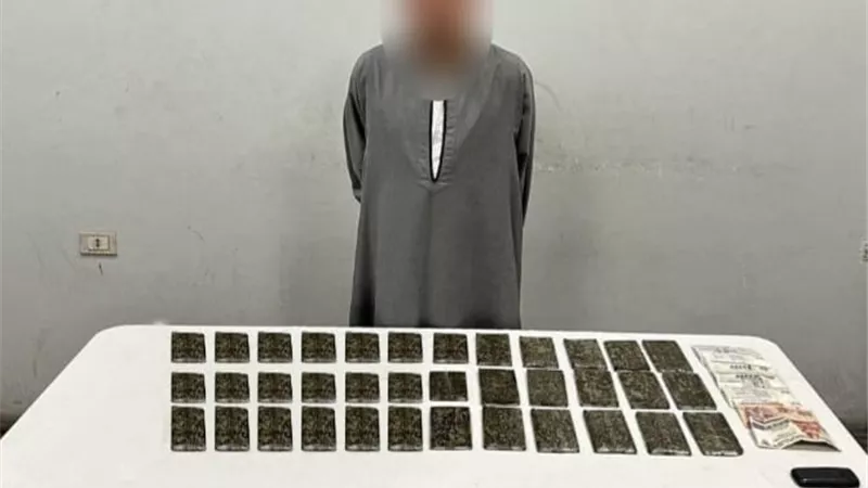 سقوط معلمين الكيف بـ 4 محافظات