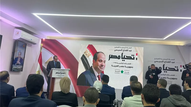 فوزي: عقدنا 40 لقاء فيديو كونفرانس مع مصريين بالخارج في 60 دولة