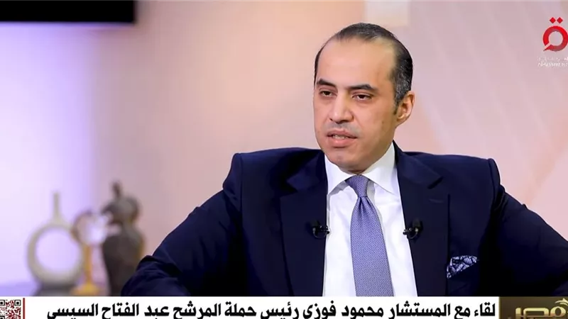 فوزي: المرحلة القادمة ستكون مرحلة القطاع الخاص وجذب الاستثمارات والتصنيع