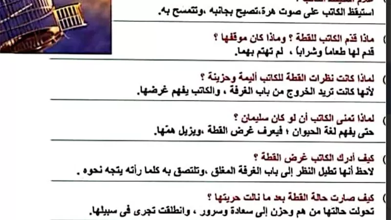 سؤال وجواب.. مراجعة لغة عربية للصف الأول الأعدادى الترم الأول