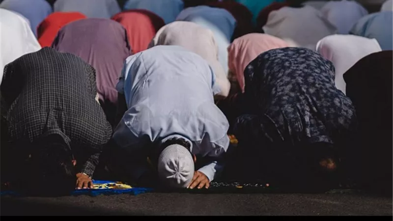 من فاتته صلاة الجمعة من غير تقصير تبين حكمه الافتاء