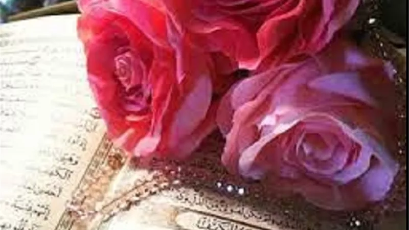 من جميل ما قرآنا ..علمتني سورة الكهف