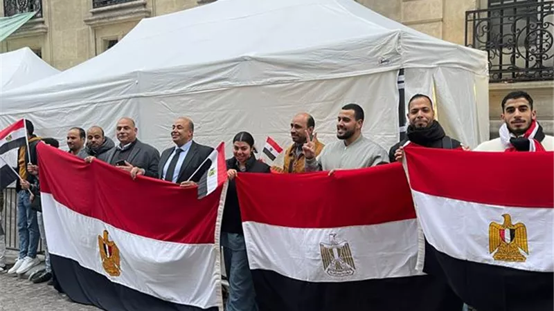 أبناء الجالية بفرنسا يصطفون بعلم مصر فى الطريق للسفارة للمشاركة بانتخابات الرئاسة .. صور