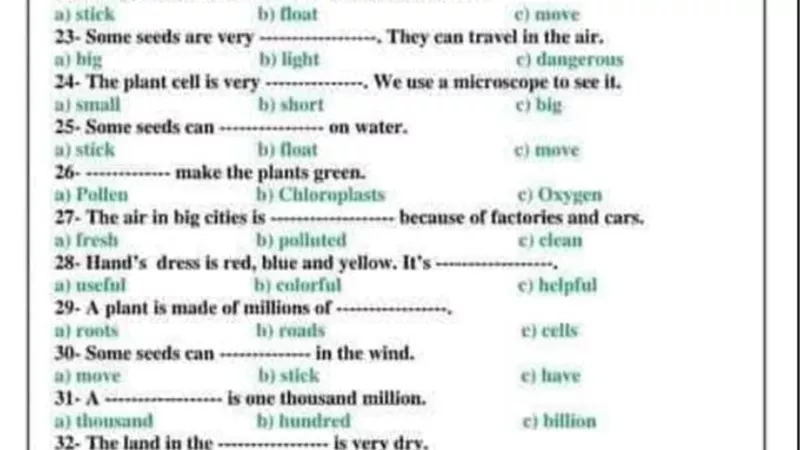مراجعة نوفمبر في اللغة الانجليزية للصف الرابع الابتدائي